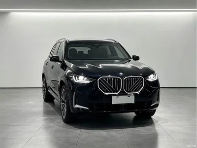 2025 BMW X3 Facelift xDrive25L Luxury Package, фото 2, лот 10812769