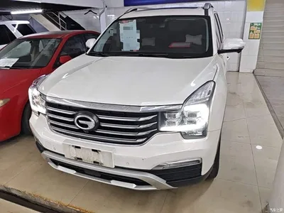 2017 GAC Trumpchi Trumpchi GS8 320T 2WD Luxury Smart Connect (7-seater), фото 1, лот 10421704