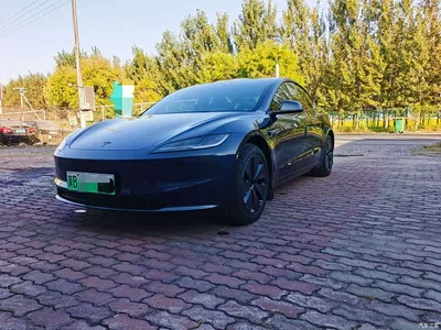 2025 Tesla Model 3 Model Year Facelift Long Range Rear-Wheel Drive, фото 1, лот 11193819
