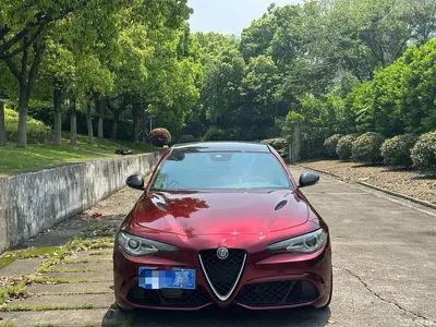 2017 Alfa Romeo Giulia 2.0T 280HP Luxury Edition, фото 2, лот 10240302