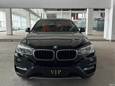 2017 BMW X6 xDrive35i Luxury, фото 2, лот 10469353