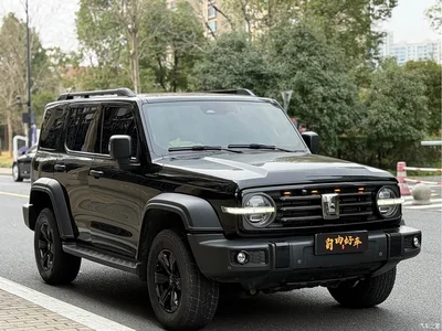 2021 Tank 300 Off-road Version 2.0T Conqueror, фото 3, лот 10344048