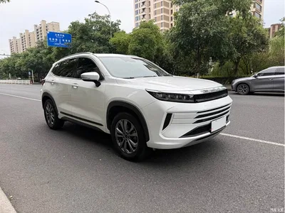 2020 Exeed Windchaser Riding the Wind and Waves Edition 1.5T CVT Star Smart Edition, фото 3, лот 11408444