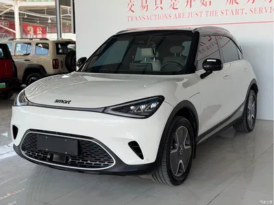 2024 smart Elf #1 Agile Long Range Edition, фото 1, лот 10343070