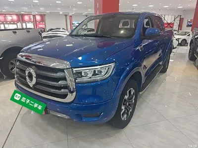 2021 Great Wall Pao 2.0T Passenger Global Edition Automatic Diesel 2WD Comfort Standard Box GW4D20M, фото 2, лот 10246322