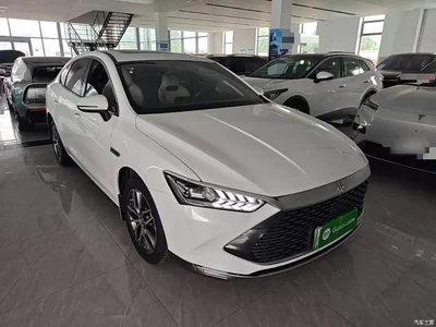 2023 BYD Qin PLUS Champion Edition DM-i 120KM Leading Type, фото 4, лот 11203372