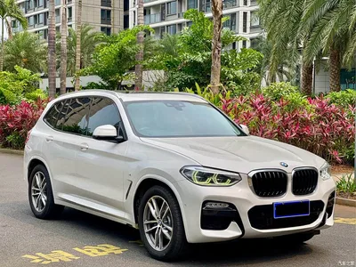2018 BMW X3 xDrive28i M Sport Package China VI, фото 3, лот 10461310