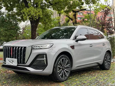 2023 Hongqi HS5 2.0T AWD Flag Enjoy Pro Edition, фото 1, лот 10288502