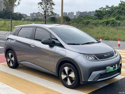2024 BYD Dolphin Glory Edition 420km Freedom Edition, фото 2, лот 10254446