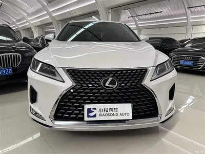 2020 Lexus RX Facelift 300 2WD Elite Edition, фото 2, лот 10317330
