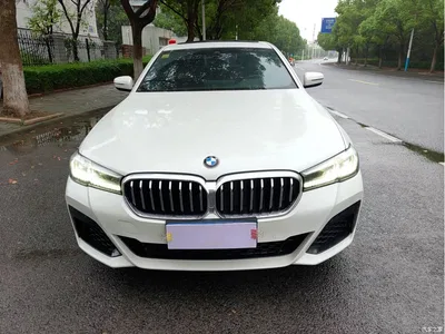 2021 BMW 5 Series 530Li Leading M Sport Package, фото 1, лот 11242150