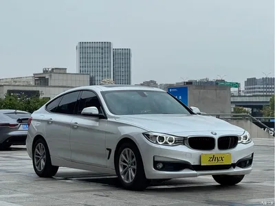 2016 BMW 3 Series GT 320i Fashion Style, фото 3, лот 11174877