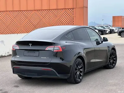 2022 Tesla Model Y Rear-Wheel Drive Version, фото 3, лот 11203952