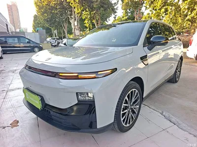 2025 Leapmotor B10 510 Joy Edition, фото 1, лот 11570077