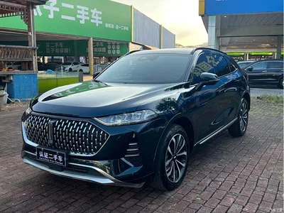 2021 WEY Mocha 2.0T 2WD Premium Edition, фото 1, лот 11166009