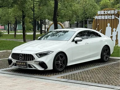 2020 Mercedes-Benz CLS 300 Dynamic, фото 1, лот 10251896