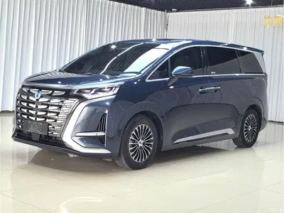 2022 Denza D9 DM-i 945 Luxury, фото 1, лот 10400587