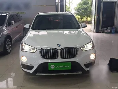 2016 BMW X1 sDrive18Li Luxury Model, фото 3, лот 10467684