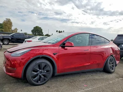 2025 TESLA MODEL Y, фото 1, лот 10855134