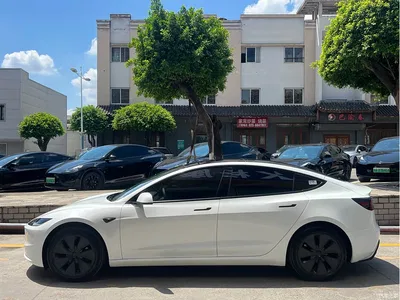 2023 Tesla Model 3 Rear-Wheel Drive, фото 3, лот 10350652