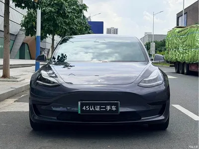 2020 Tesla Model 3 Standard Range Rear-Wheel Drive Upgrade, фото 3, лот 10352537