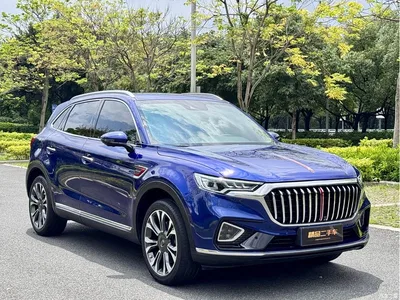 2019 Hongqi HS5 2.0T Smart Connect Enjoy 4WD Edition, фото 3, лот 10287046