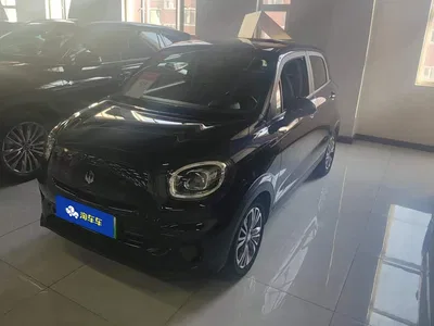 2021 Leapmotor T03 400 Comfort Edition, фото 1, лот 10444350