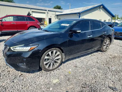 2023 NISSAN MAXIMA PLATINUM, фото 1, лот 10755758