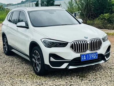 2020 BMW X1 sDrive20Li Premium Edition, фото 1, лот 11385723