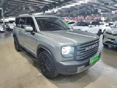 2024 Haval Meng Long NEV Hi4 102 Pro, фото 4, лот 10285622