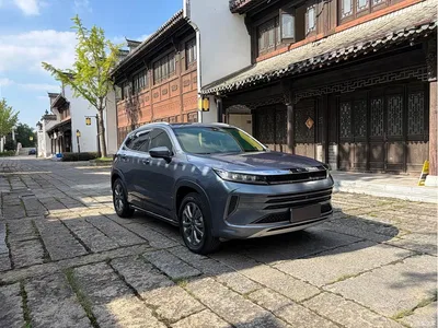2020 Exeed Windchaser Riding the Wind and Waves 1.5T CVT Star Glory Edition, фото 3, лот 11152112