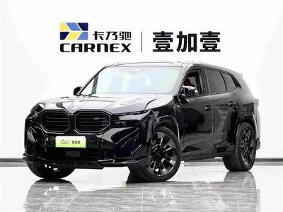 2023 BMW XM Model Base, фото 1, лот 10446553