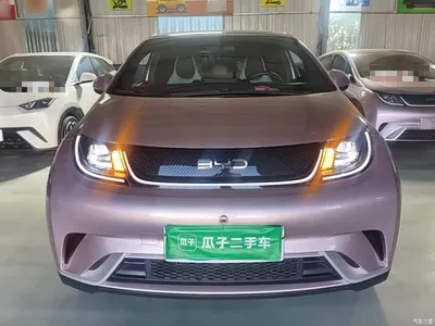 2025 BYD Dolphin 420km Freedom Edition, фото 3, лот 10435215