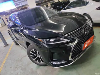 2020 Lexus RX Facelift 300 2WD Elite Edition, фото 2, лот 10445768