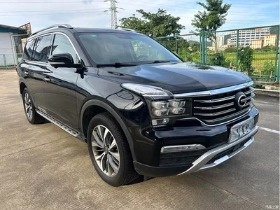 2017 GAC Trumpchi Trumpchi GS8 320T 2WD Luxury Smart Connect (7-seater), фото 3, лот 10417026