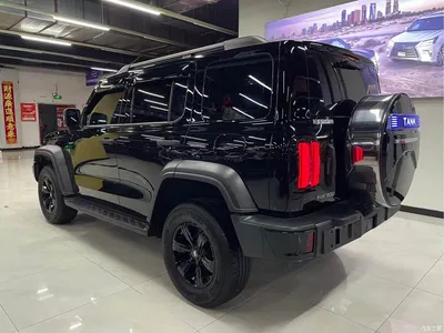 2024 Tank 300 Model 2.0T Challenger, фото 4, лот 10351065