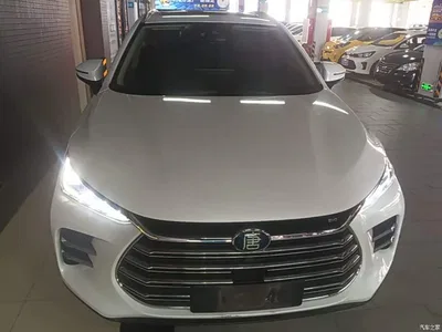 2019 BYD Tang New Energy DM 2.0T AWD Intelligent Sharing Creation 7-seater China VI, фото 3, лот 10272488