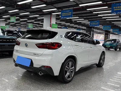 2021 BMW X2 sDrive25i Leading M Sport Package, фото 4, лот 11199933