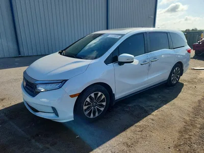 2023 HONDA ODYSSEY EXL, фото 1, лот 10704343