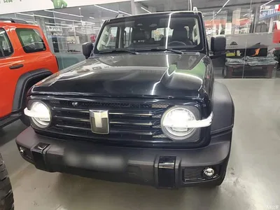 2025 Tank 300 2.4T Diesel Version, фото 3, лот 10345368