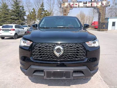 2021 Great Wall Pao 2.0T Commercial Edition Manual Diesel 2WD Elite Long Box GW4D20M, фото 3, лот 10248929