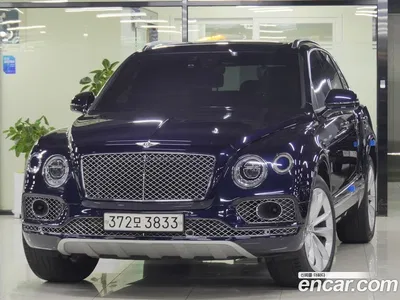 2020 Bentley Bentayga 4.0 V8, фото 1, лот 10118619