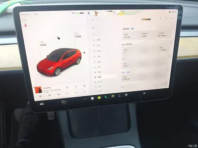2021 Tesla Model Y Standard Range Rear-Wheel Drive, фото 4, лот 10370898