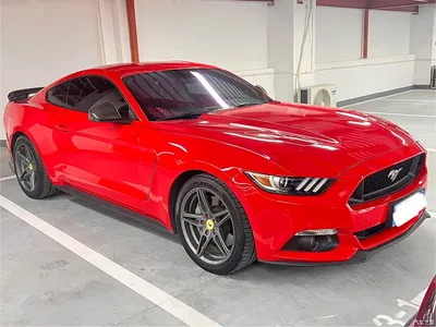 2017 Ford Mustang 2.3T Sport Edition, фото 1, лот 10398562