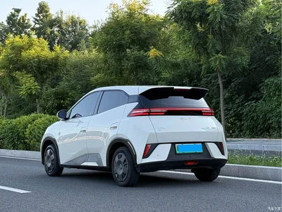 2025 BYD Seagull Smart Drive Edition 305km Vitality Version, фото 4, лот 10250617