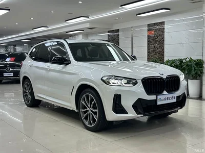 2022 BMW X3 xDrive30i Leading M Night Package, фото 3, лот 10442978
