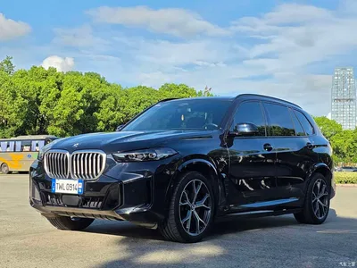 2023 BMW X5 xDrive 30Li Premium M Sport Black Night Package, фото 1, лот 10237502