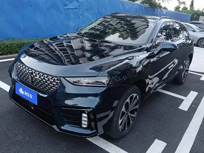 2020 WEY VV7 2.0T Super Luxury, фото 1, лот 11104864