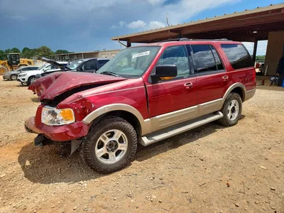 2004 FORD EXPEDITION EDDIE BAUER, фото 1, лот 10983942