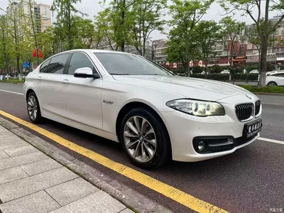 2014 BMW 5 Series 528Li xDrive Premium, фото 3, лот 10443902